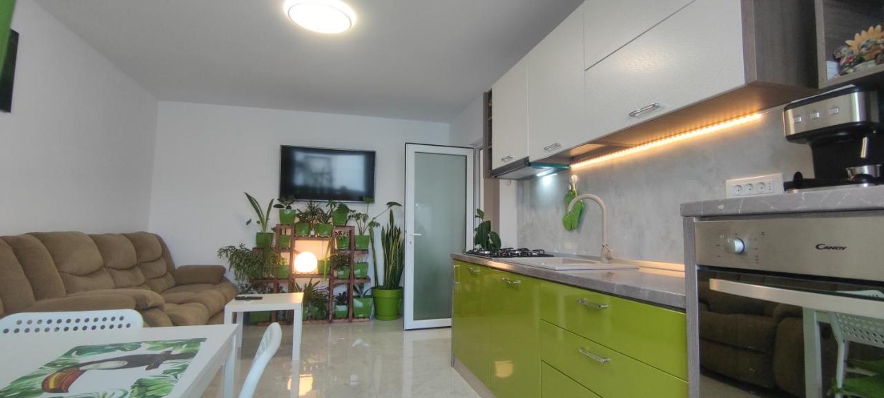 Abel Luxury Home كونستانتا المظهر الخارجي الصورة
