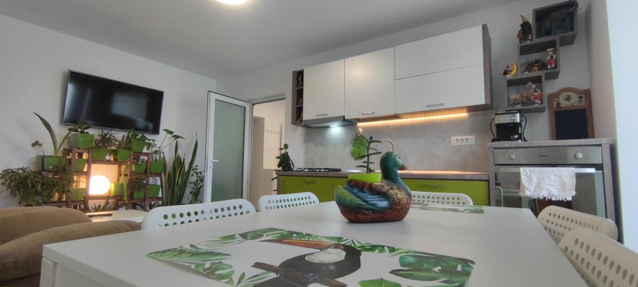 Abel Luxury Home كونستانتا المظهر الخارجي الصورة