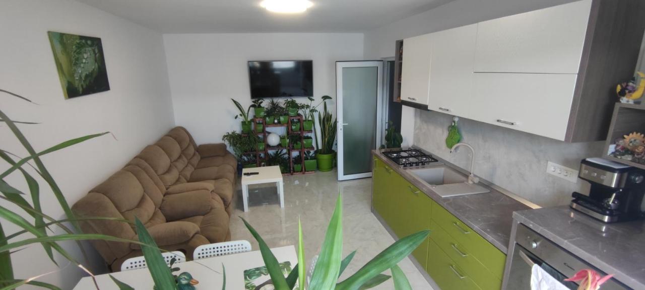 Abel Luxury Home كونستانتا المظهر الخارجي الصورة